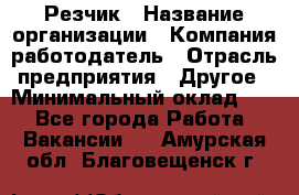 Резчик › Название организации ­ Компания-работодатель › Отрасль предприятия ­ Другое › Минимальный оклад ­ 1 - Все города Работа » Вакансии   . Амурская обл.,Благовещенск г.